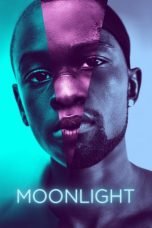 Download Moonlight (2016) Bluray 720p 1080p Subtitle Indonesia