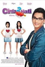 Download Dilema Cinta 2 Hati 2010 WEBDL Full Movie